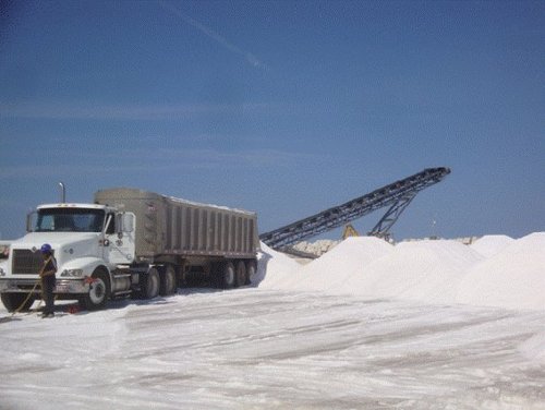 319_1321482873.jpg