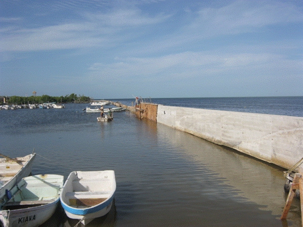 322_1324443432.jpg