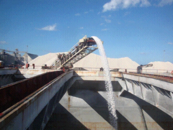 323_1324697066.jpg