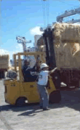 47_1109137990.gif
