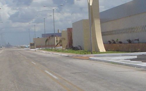 88_1123474796.jpg
